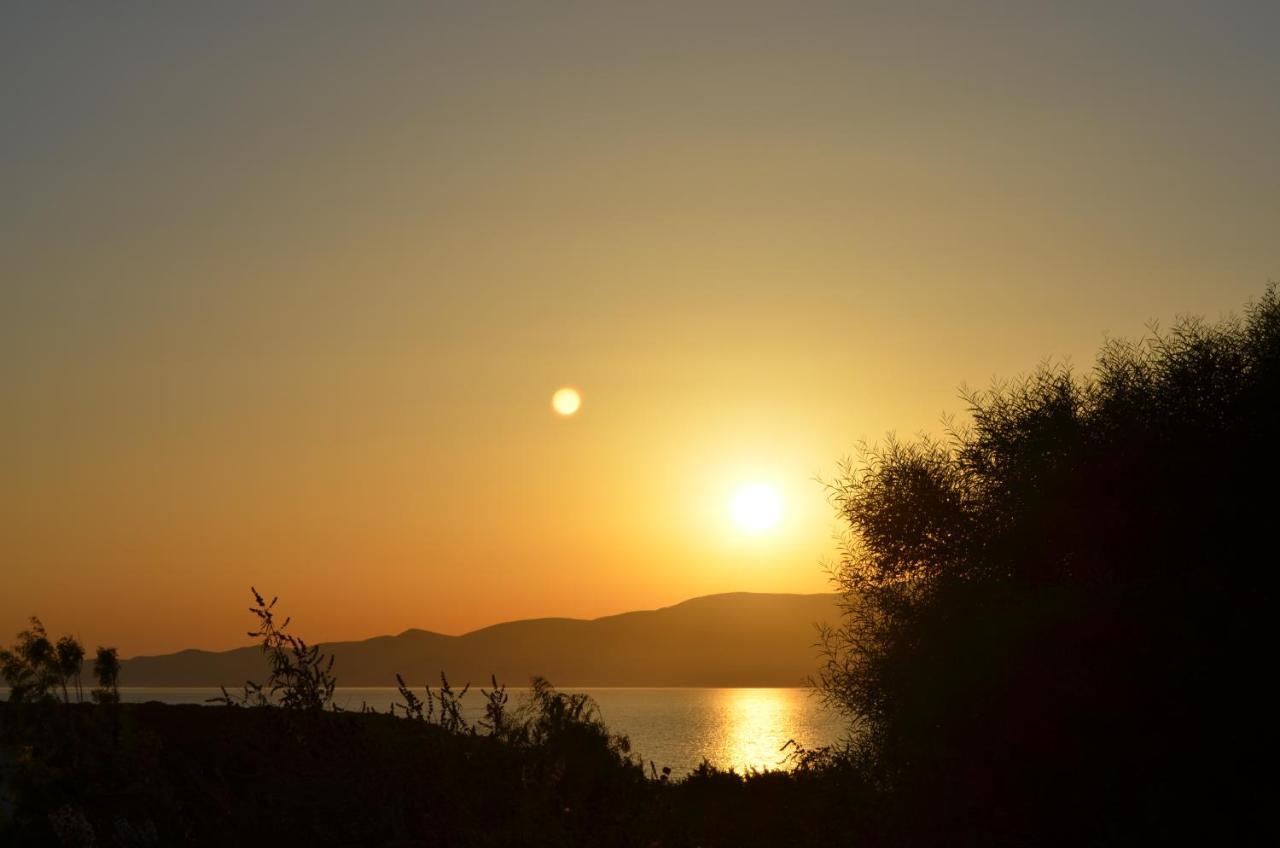 Villa Faros Small Hotel & Restaurant Παραλία Αλικό Εξωτερικό φωτογραφία