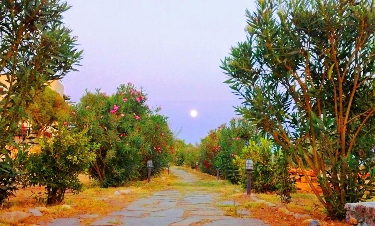 Villa Faros Small Hotel & Restaurant Παραλία Αλικό Εξωτερικό φωτογραφία