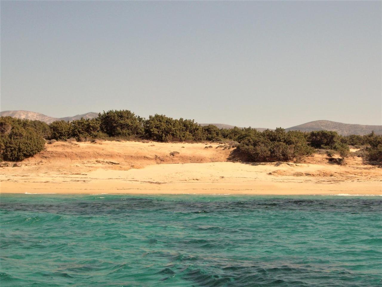 Villa Faros Small Hotel & Restaurant Παραλία Αλικό Εξωτερικό φωτογραφία